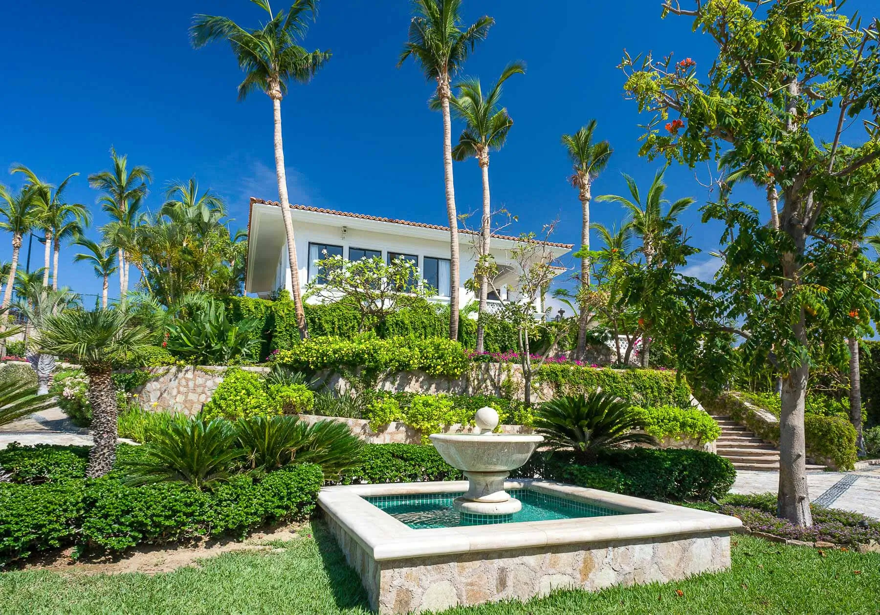 Wellness Real Estate in Los Cabos
